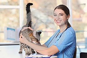 Veterinarian doc with cat