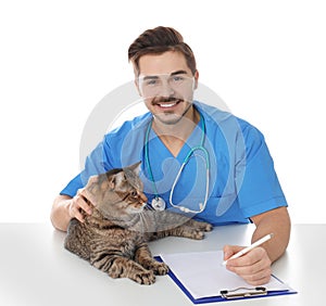 Veterinarian doc with cat on white