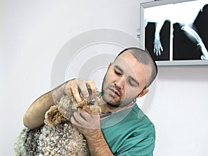 Veterinarian Doctor