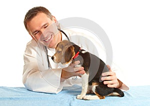 Veterinarian doctor and a beagle puppy