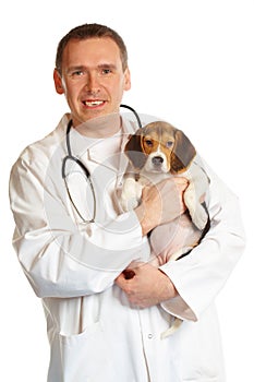 Veterinarian doctor and a beagle puppy