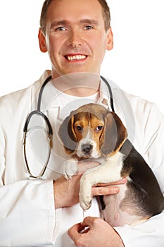 Veterinarian doctor and a beagle puppy