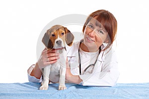 Veterinarian doctor and a beagle puppy