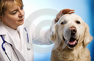 Veterinarian doctor with dog