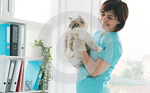 Veterinarian Doctor Holding Cat In Hands In Clinic
