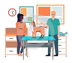 Veterinarian doctor holds dog on examination table in vet clinic. Pets health care concept