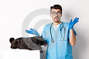 Veterinarian doctor intern in scrubs shrugging, confused how to examine dog, pug lying on table, white background
