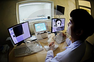 Veterinarian doctor with MRI computer control