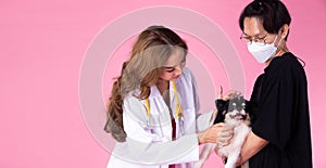 Veterinarian Doctor wear cocky pink dress, check up old sick dog for health condition