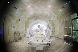 Veterinarian doctor working in MRI room