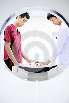 Veterinarian doctor working in MRI scanner room