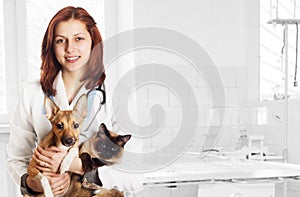 Veterinarian and dog and cat