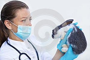 Veterinarian examines the bunny. pet in the veterinary clinic. young beautiful woman doctor holding a rabbit in her hands. prevent