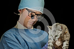 Veterinarian examines cat