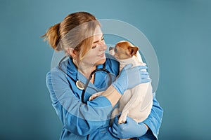A veterinarian examines a chihuahua puppy with hands in protective gloves. Selective focus on the dog. Healthcare of dogs concept
