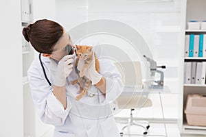 Veterinarian examining a cute cat