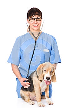 Veterinarian examining a puppy dog. isolated on white background