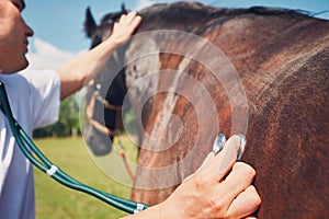 Veterinarian on the farm