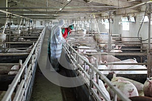 Veterinarian and Farmer Working Together