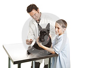 Veterinarian and Helper