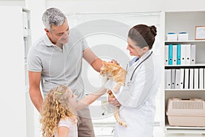 Veterinarian holding cat with its owners