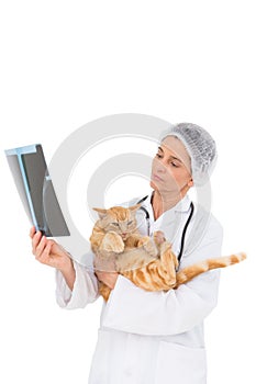 Veterinarian holding cat and looking at xray