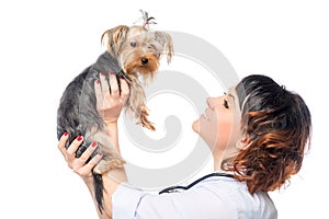 Veterinarian holds a beautiful healthy dog