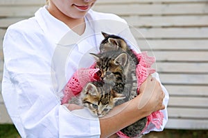 A veterinarian holds kittens in his arms
