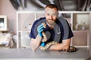 Veterinarian holds snake in hands. Exotic pet on inspection