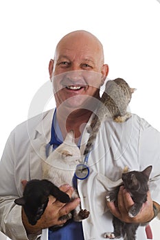 Veterinarian with Kittens