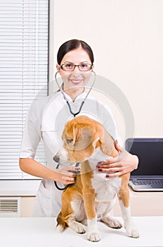 Veterinarian listens to dog