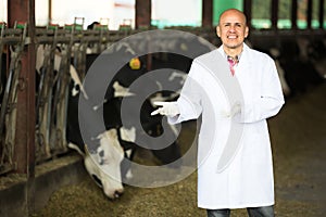 Veterinarian in livestock farm