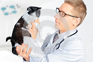 Veterinarian looks on a feline