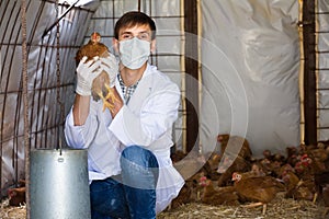 Veterinarian in mask holding chicken