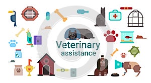 Veterinarian Medicine Icons Clinic Of Veterinary Assistance