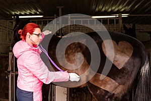 Veterinarian performing cardiac auscultation on horse photo