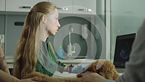 A veterinarian performs a medical scan of a dog.