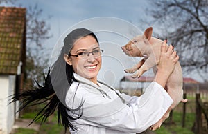 Veterinarian raising piglet in the air