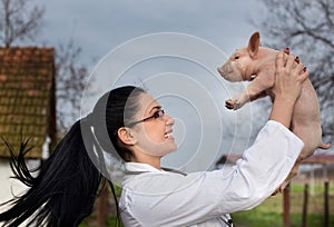 Veterinarian raising piglet in the air