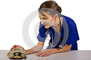 Veterinarian with a reptile