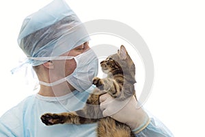 Veterinarian in a sterile clothes cap and mask with a kitten