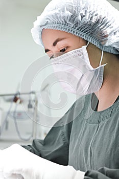 Veterinarian surgery in operation room