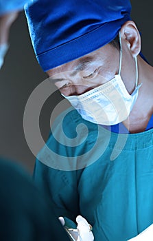 Veterinarian surgery in operation room