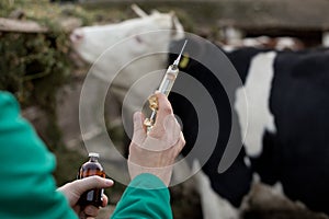 Veterinarian with syringe on farm