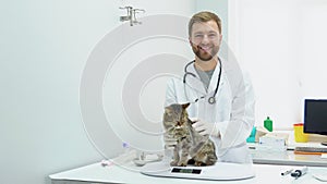 The veterinarian weighs cat on a scale
