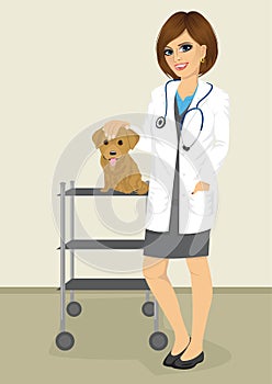 Veterinarian woman standing with labrador puppy in her office veterinary clinic