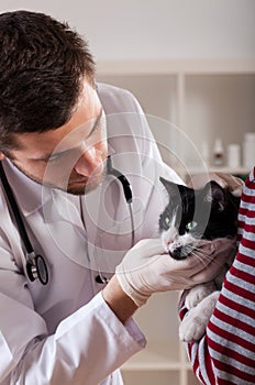 Veterinarian at work