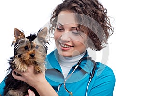 Veterinarian with Yorkshire Terrier