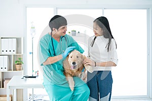 Veterinarians are talking about canine health in animal hospitals