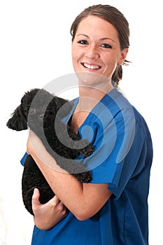 Veterinary Assistant Holding Pet Dog Isolated